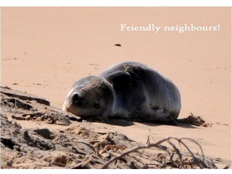 15 Pindari Drive, Dunbogan NSW 2443