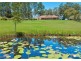17 Lee Place, Logans Crossing NSW 2439