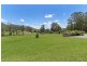 17 Lee Place, Logans Crossing NSW 2439