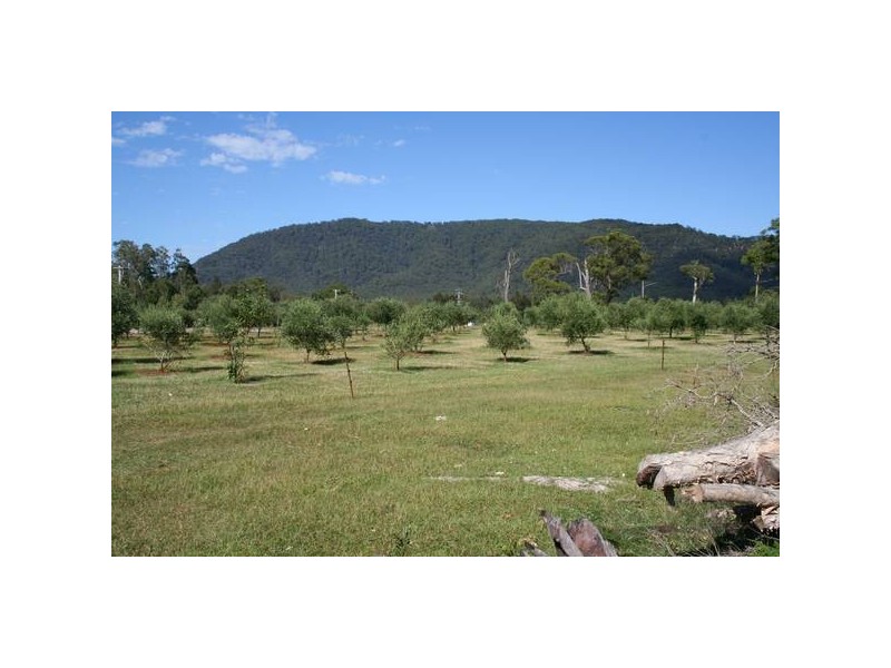 North Haven NSW 2443