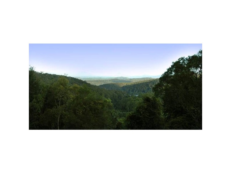 1536 Koppin Yarratt Road, Comboyne NSW 2429