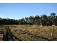 Herons Creek NSW 2443