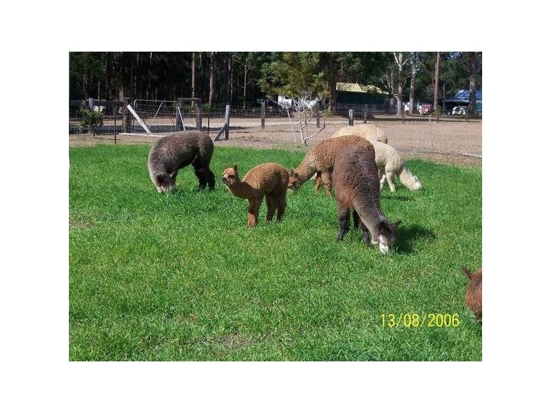 Herons Creek NSW 2443