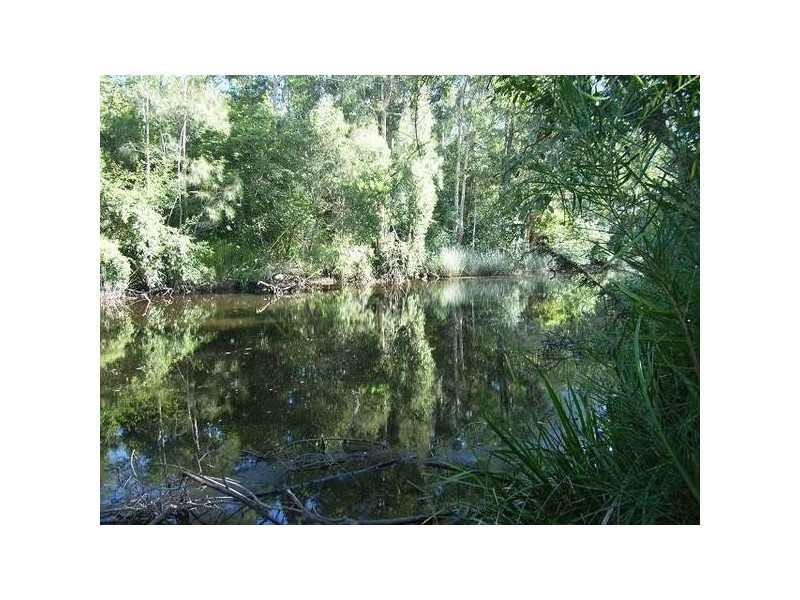 Lake Cathie NSW 2445