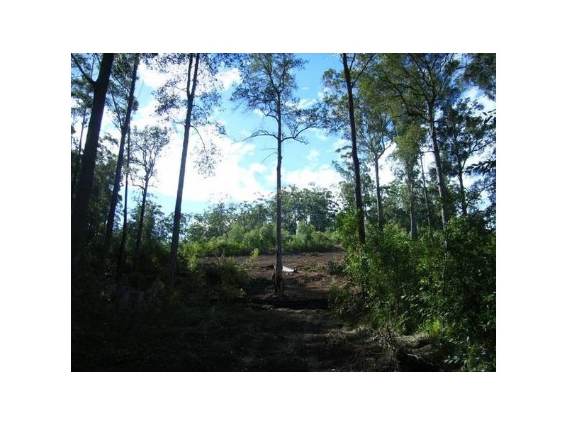 Lake Cathie NSW 2445