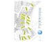Laurieton NSW 2443