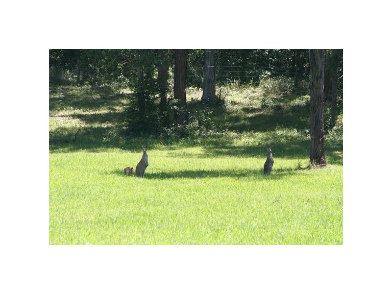 Lake Cathie NSW 2445