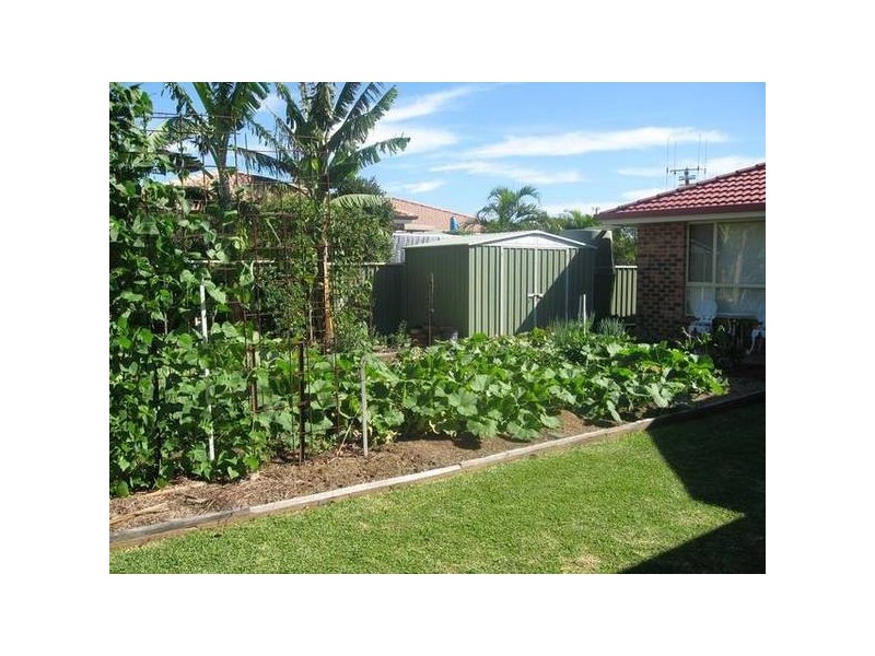 Lake Cathie NSW 2445