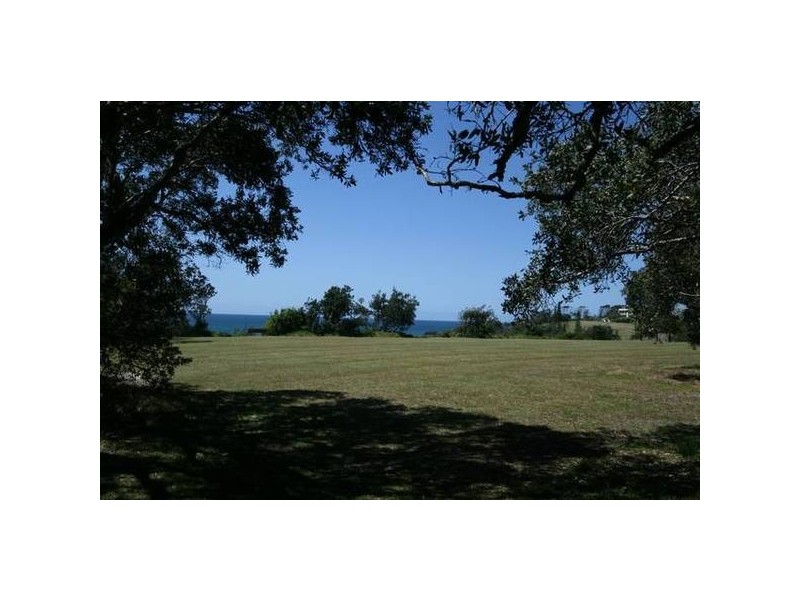 Bonny Hills NSW 2445