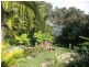 Bonny Hills NSW 2445
