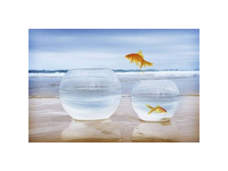 2 Monica Place, Lake Cathie NSW 2445