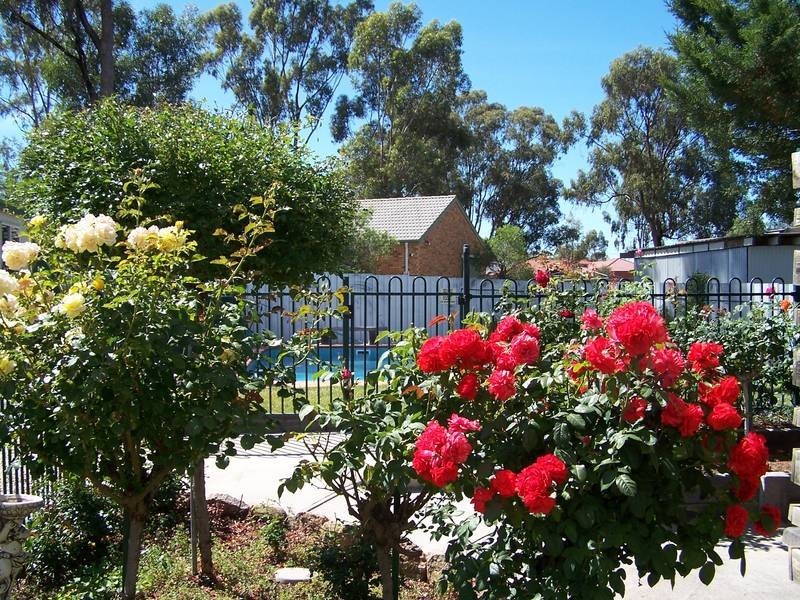 32 Abdallah Road, Seymour VIC 3660