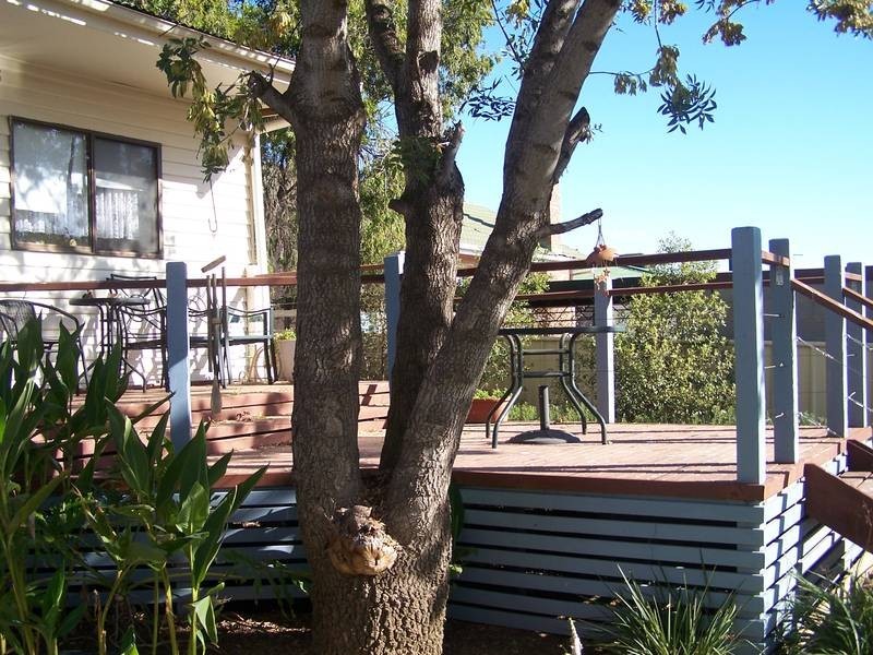 20 Morison Crescent, Seymour VIC 3660