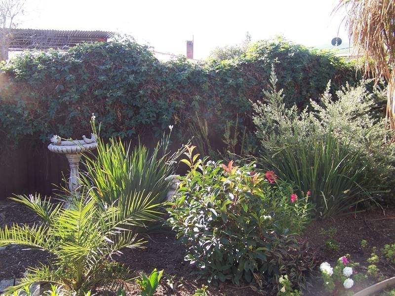 20 Morison Crescent, Seymour VIC 3660