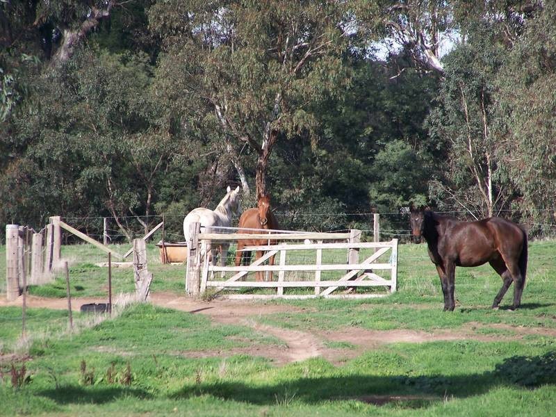 2 Tierney Street, Seymour VIC 3660