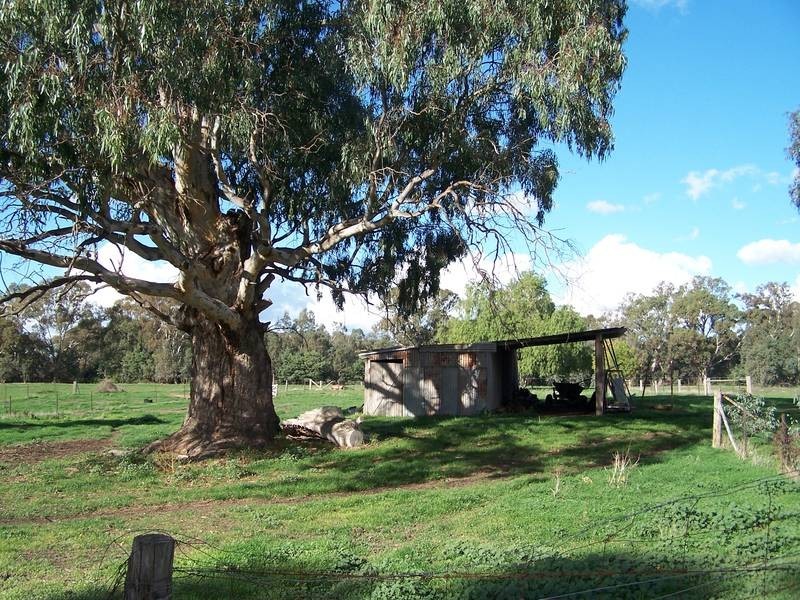 2 Tierney Street, Seymour VIC 3660