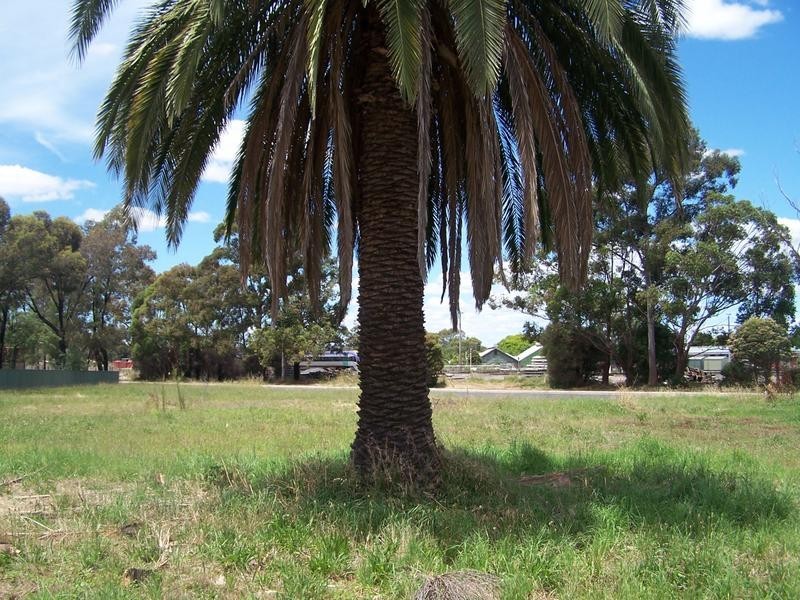 Crawford Street, Seymour VIC 3660