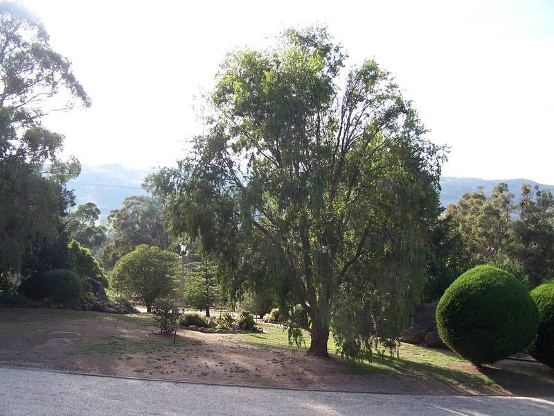 8327 Goulburn Valley Highway, Trawool VIC 3660