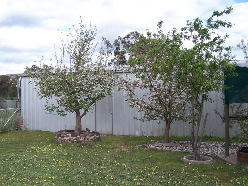 7-9 Jones, Avenel VIC 3664