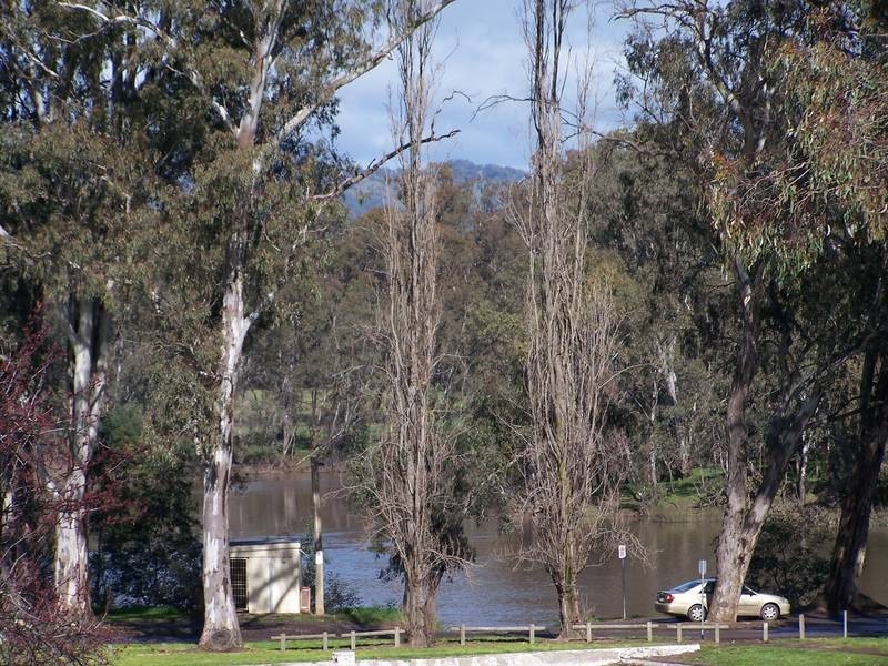 19 Progress Street, Seymour VIC 3660