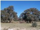 Seymour/Pyalong Road, Seymour VIC 3660