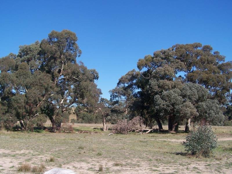 Seymour/Pyalong Road, Seymour VIC 3660