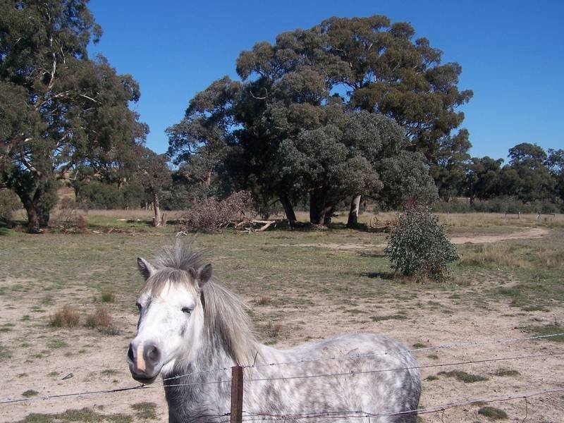 Seymour/Pyalong Road, Seymour VIC 3660