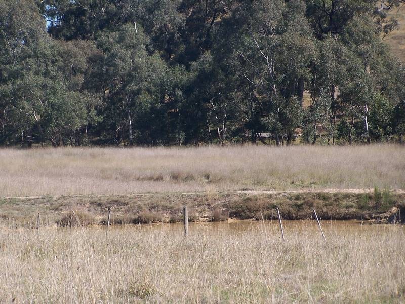 Seymour/Pyalong Road, Seymour VIC 3660