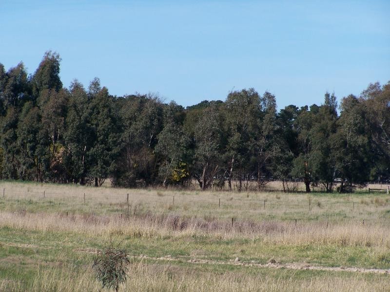 57 Delatite Road, Seymour VIC 3660