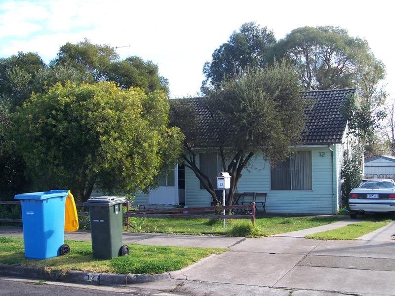 12 Perrin Street, Seymour VIC 3660