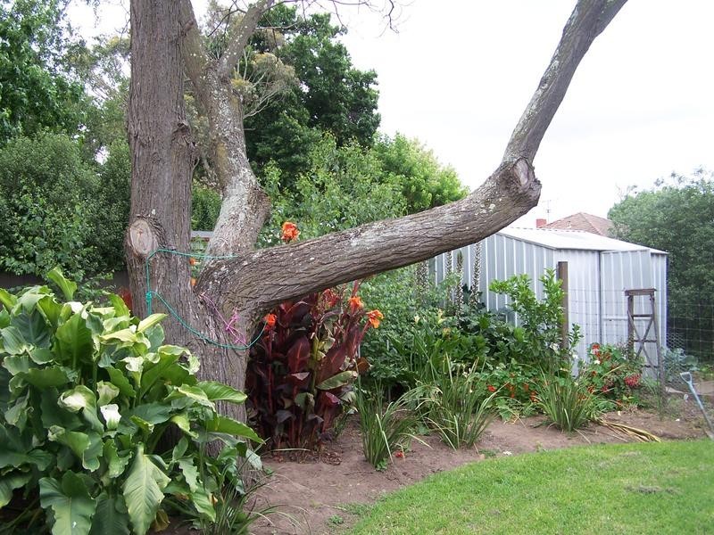 21 Park Street, Seymour VIC 3660