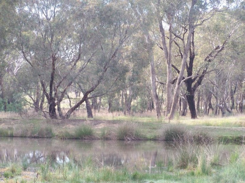 Lot 175,  sungarrin Road, Seymour VIC 3660