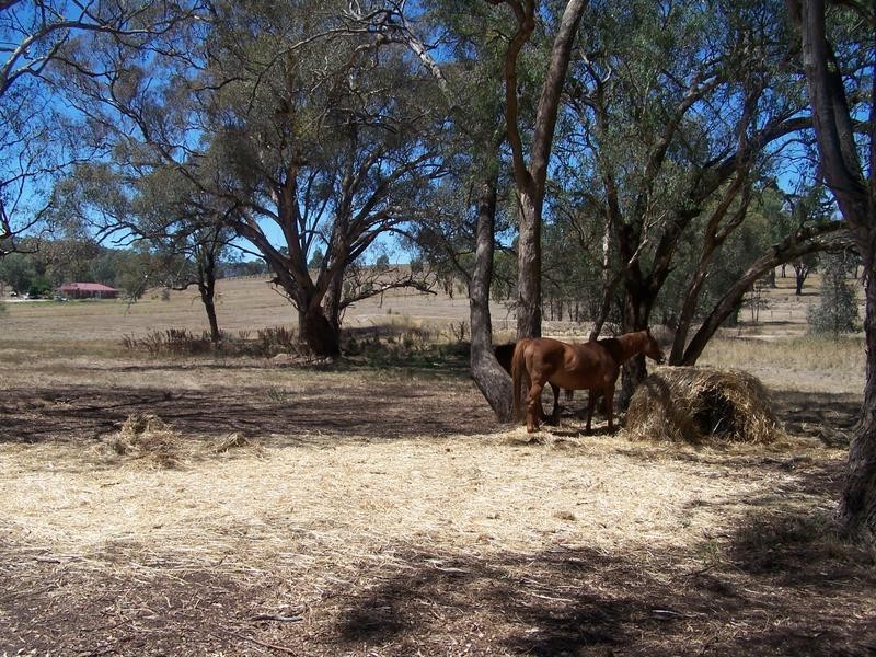 Lot 175,  sungarrin Road, Seymour VIC 3660
