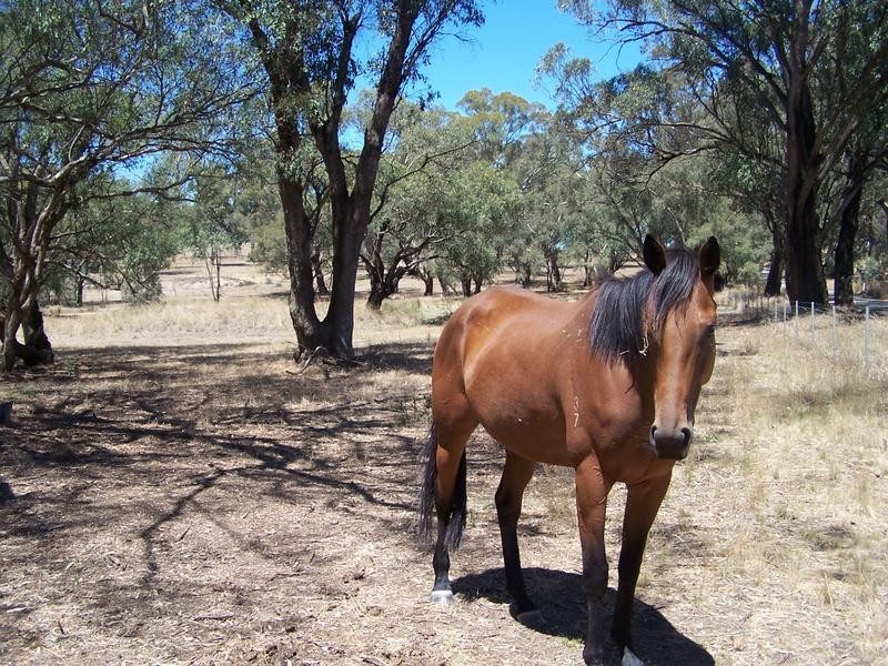 Lot 175,  sungarrin Road, Seymour VIC 3660