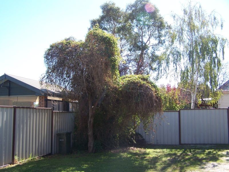 8/77 Wimble Street, Seymour VIC 3660