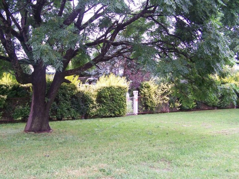 62 Livingstone Street, Avenel VIC 3664