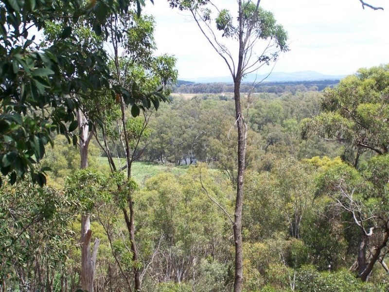 Seymour VIC 3660