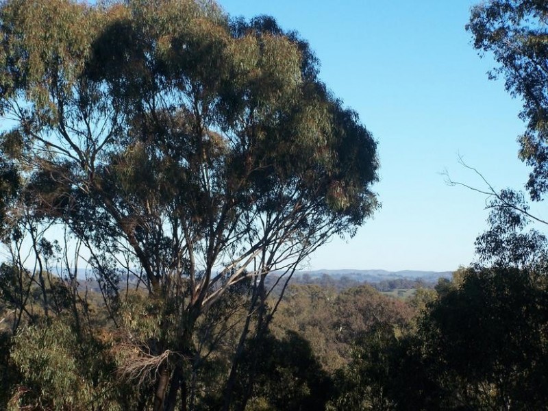 16 Delhi Street, Seymour VIC 3660