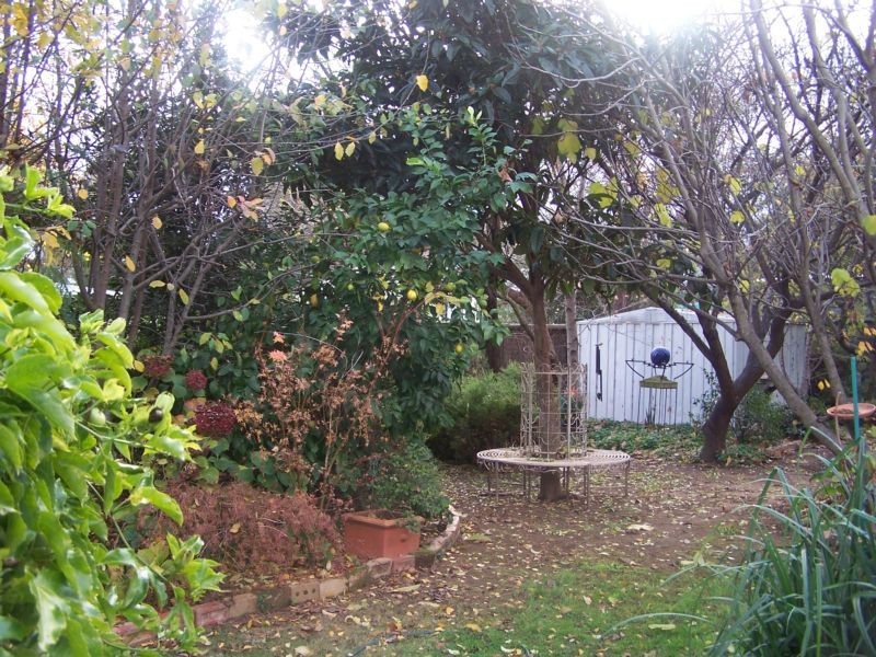 19 Pinniger Street, Avenel VIC 3664