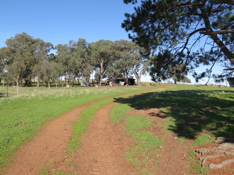 1075 Seymour Tooborac Road, Seymour VIC 3660