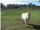 Seymour VIC 3660