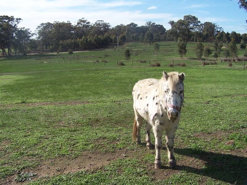 Seymour VIC 3660