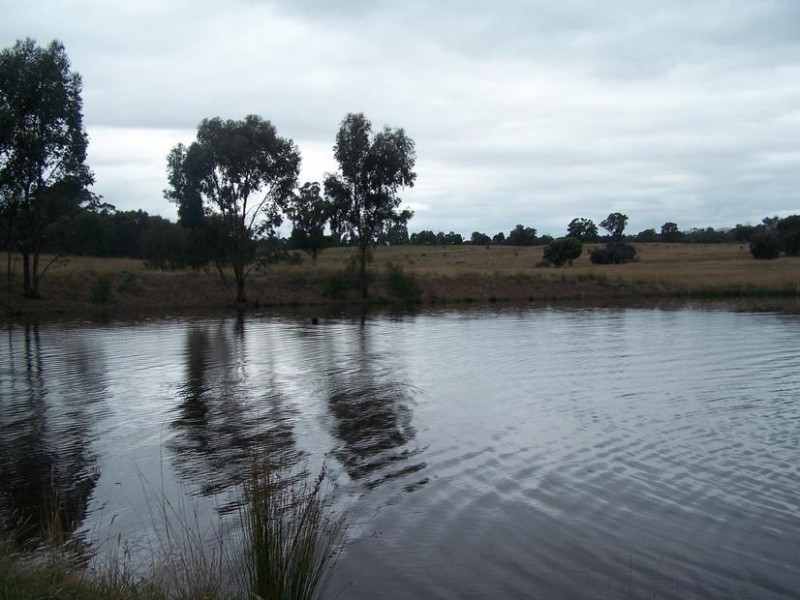 Seymour VIC 3660