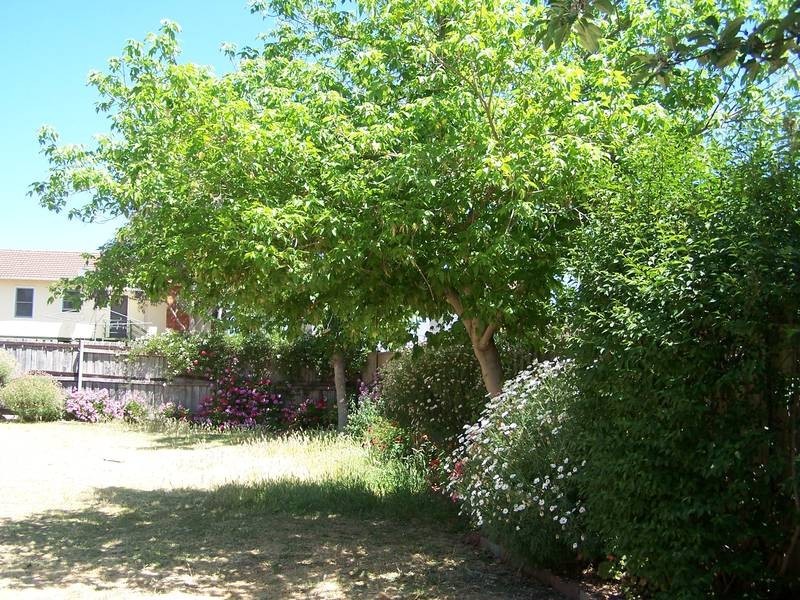 150 Anzac Avenue, Seymour VIC 3660