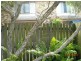2/1 Tingi Drive, Tanah Merah QLD 4128
