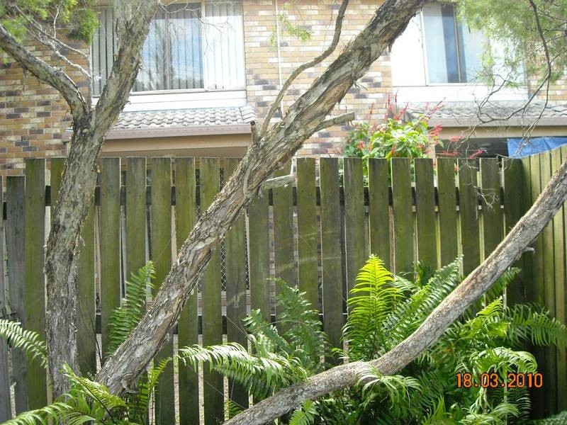 2/1 Tingi Drive, Tanah Merah QLD 4128