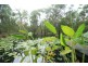 81 Lakeside Drive, Carbrook QLD 4130