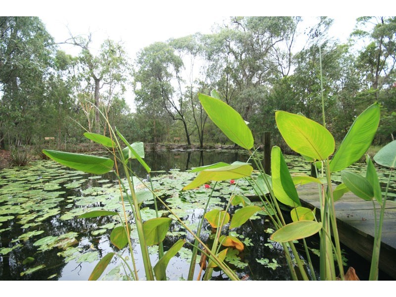 81 Lakeside Drive, Carbrook QLD 4130