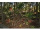 Cornubia QLD 4130