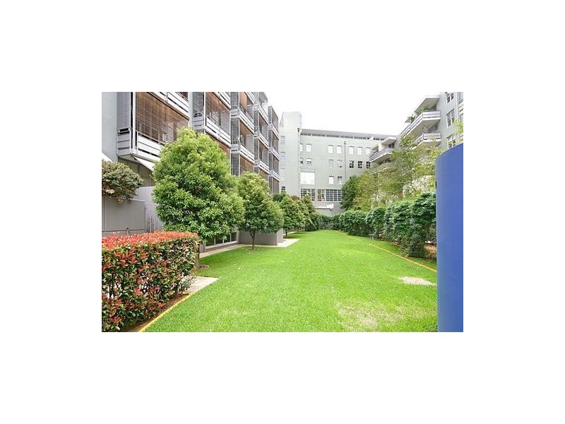 50/15-17 Boundary Street LEASED BY MICHAEL MURRAY IN FIRST INSPECTION!!!!!, Rushcutters Bay NSW 2011
